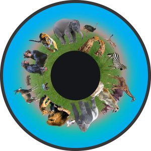 6" Effectwiel Dieren van Afrika