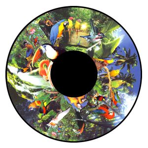 6" Effectwiel Tropische Vogels