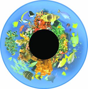 Van € 51,4 voor € 41: 6" Magnetisch Effectwiel Tropische Vissen -ACTIE-