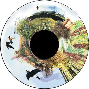 6" Magnetic Effect Wheel Country