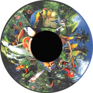 6" Magnetisch Effectwiel Tropische Vogels