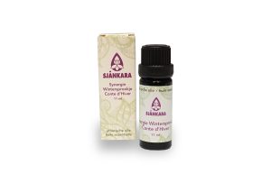 Wintersprookje, synergie 11 ml