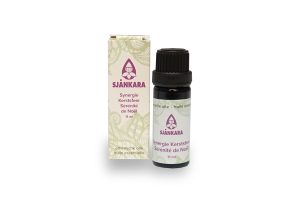 Kerstsfeer, synergie 11 ml