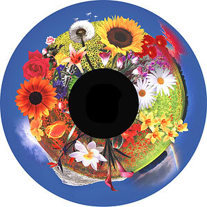 6" Magnetisch Effectwiel Veldbloemen