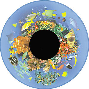 6" Effectwiel Tropische Vissen