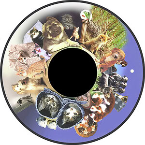 6" Magnetisch Effectwiel Fluffy (honden&katten)