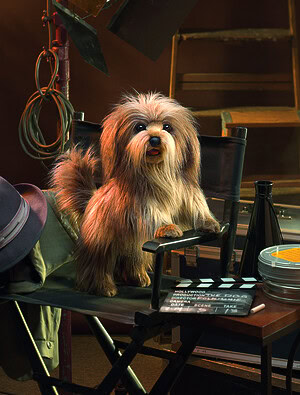 Handpop Shaggy dog 51 cm