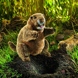 **Handpop Marmot 25 cm