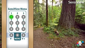 USB-stick 1: Standaard basis stick