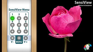 USB-stick 4: Natuur & Seizoenen