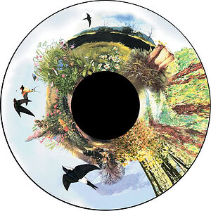 6" Magnetisch Effectwiel Country