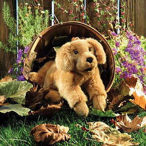 Handpop Golden Retriever, 43 cm