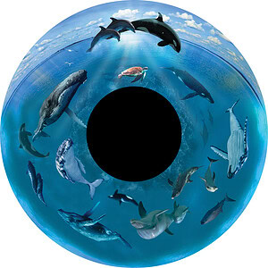 **6" Effectwiel Walvissen