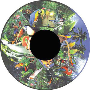 **6" Effectwiel Tropische Vogels