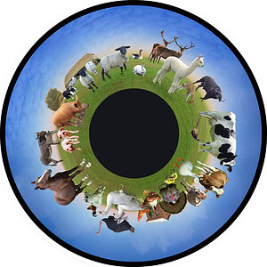 6" Magnetisch Effectwiel - Boerderijdieren