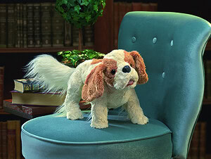 Handpop Cavalier King Charles Spaniel 56 cm
