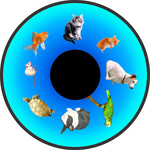 6" Magnetic Effect Wheel - Pets