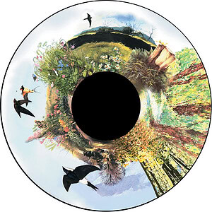 6" Magnetic Effect Wheel - Country