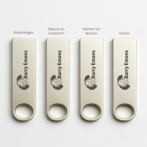 Set van 4 USB-sticks