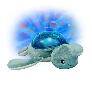 Sjors Schildpad AquaDream projector